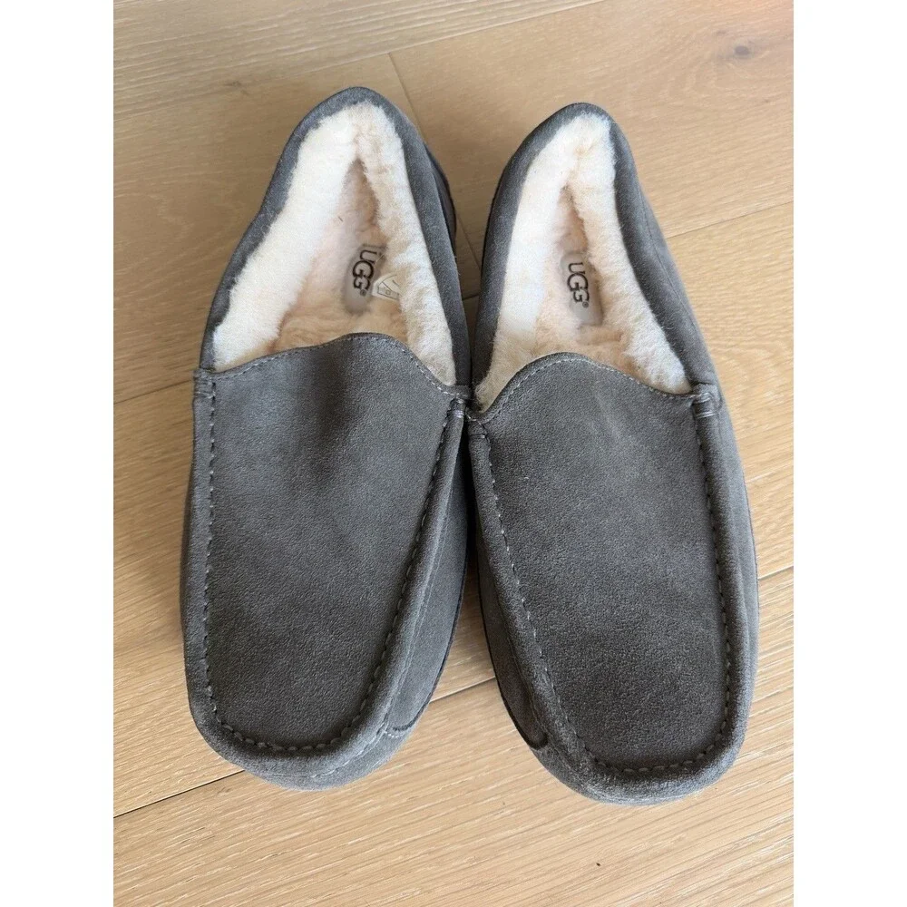 UGG australia men`s